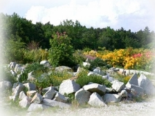 Arboretum - skalniak